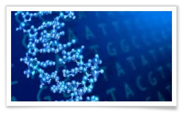 Biotechnology Products